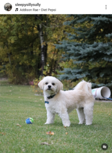 @sleepysillysully 10-7-24 (3)